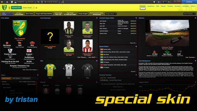 FM 2014 Skins - Special skin for FM14