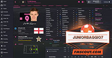 JuniorBaggio FM16 Skin