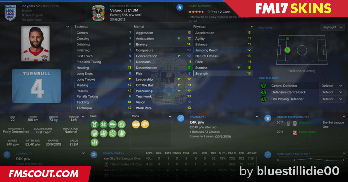 Football manager 2019 skins