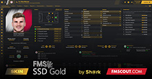 SSD Gold skin for FM20 by Sh@rk - FMSLife V1.5