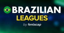 FM26 Brazilian Leagues (Men & Women)