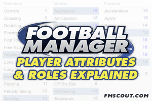 Football Manager Player Attributes & Hidden Attributes Explained •