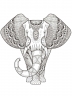 Cire avatar