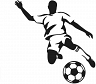 Montecason avatar