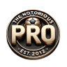 TheNotoriousPr0's avatar