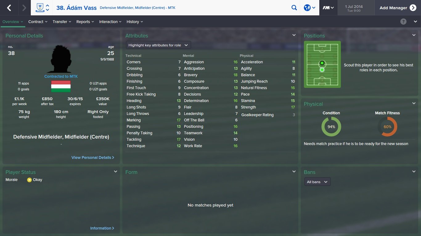 Adam Vass FM15 Football Manager 2015 FM Scout