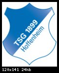 4019-hoffenheim_logo_141.jpg