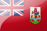 BER flag