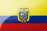 ECU flag