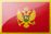 MNE flag