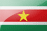 SUR flag