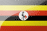 UGA flag