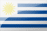 URU flag