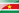 SUR flag